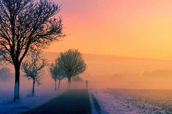 深圳白蟻防治:白蟻比較喜歡食松木、夾板等較為松軟材質(zhì)的家具