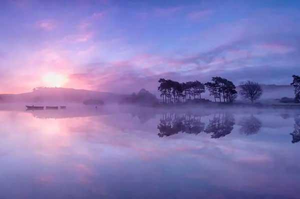 蚊類的化學(xué)防治方法是什么?