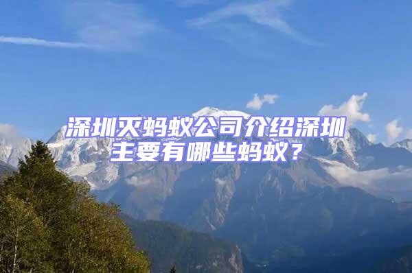 深圳滅螞蟻公司介紹深圳主要有哪些螞蟻?