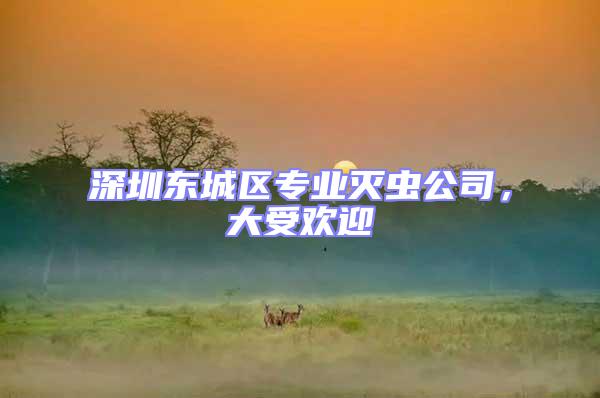 深圳東城區專業滅蟲公司,大受歡迎