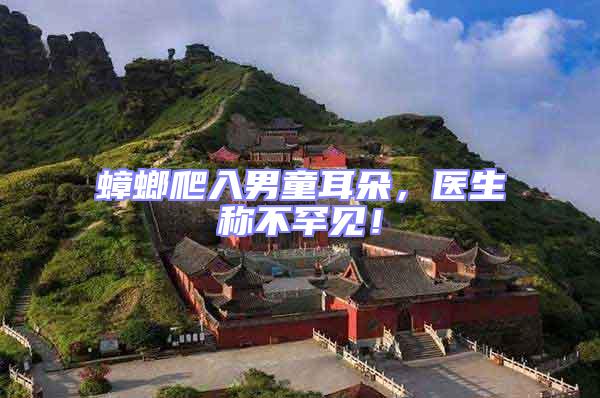 蟑螂爬入男童耳朵,醫(yī)生稱不罕見!