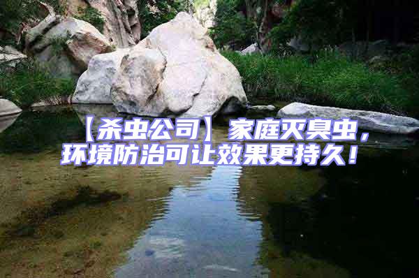 【殺蟲公司】家庭滅臭蟲，環(huán)境防治可讓效果更持久！