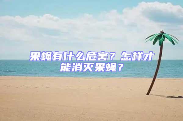 果蠅有什么危害？怎樣才能消滅果蠅？