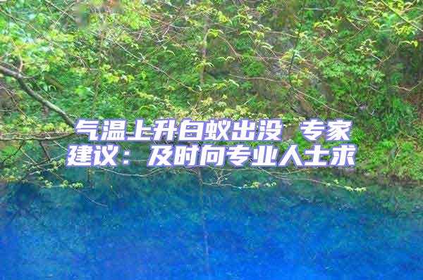 氣溫上升白蟻出沒 專家建議:及時向?qū)I(yè)人士求