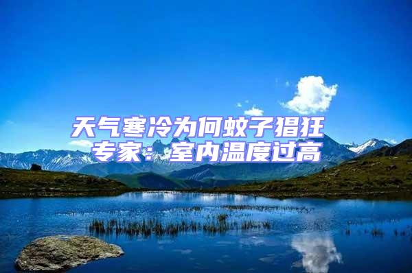 天氣寒冷為何蚊子猖狂 專家:室內溫度過高