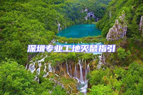 深圳專(zhuān)業(yè)工地滅鼠指引