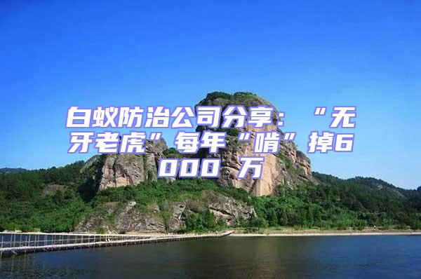 白蟻防治公司分享:“無牙老虎”每年“啃”掉6000 萬