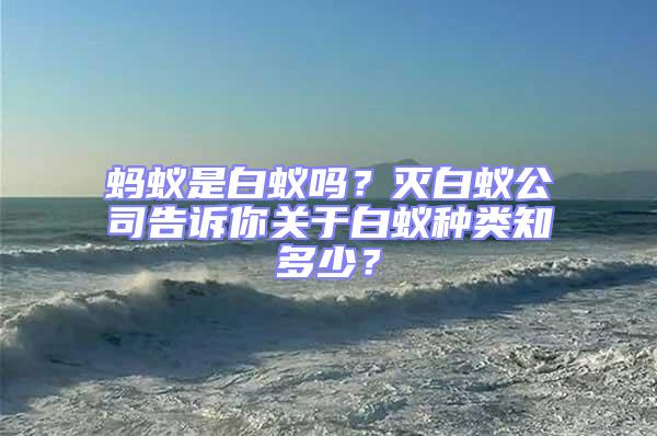 螞蟻是白蟻嗎？滅白蟻公司告訴你關于白蟻種類知多少？