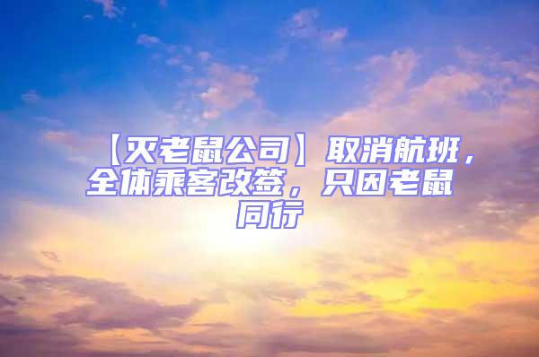 【滅老鼠公司】取消航班，全體乘客改簽，只因老鼠同行