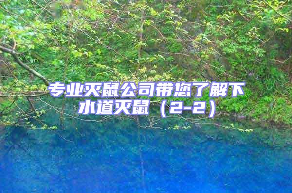專業(yè)滅鼠公司帶您了解下水道滅鼠(2-2)