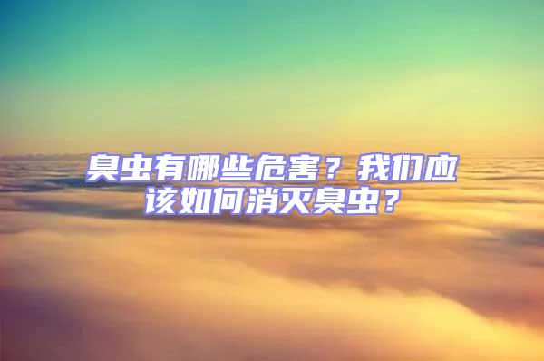 臭蟲有哪些危害?我們應(yīng)該如何消滅臭蟲?