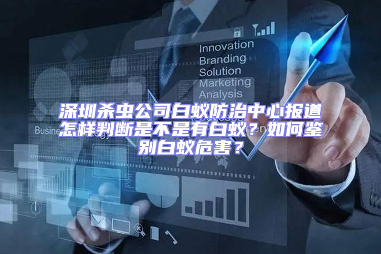 深圳殺蟲公司白蟻防治中心報(bào)道怎樣判斷是不是有白蟻?如何鑒別白蟻危害?