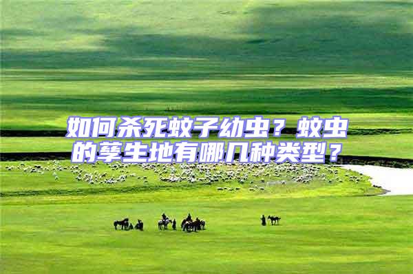 如何殺死蚊子幼蟲?蚊蟲的孳生地有哪幾種類型?