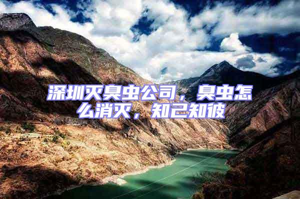 深圳滅臭蟲公司，臭蟲怎么消滅，知己知彼