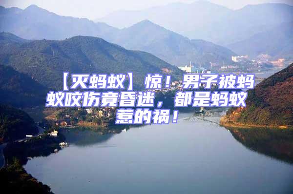 【滅螞蟻】驚！男子被螞蟻咬傷竟昏迷，都是螞蟻惹的禍！