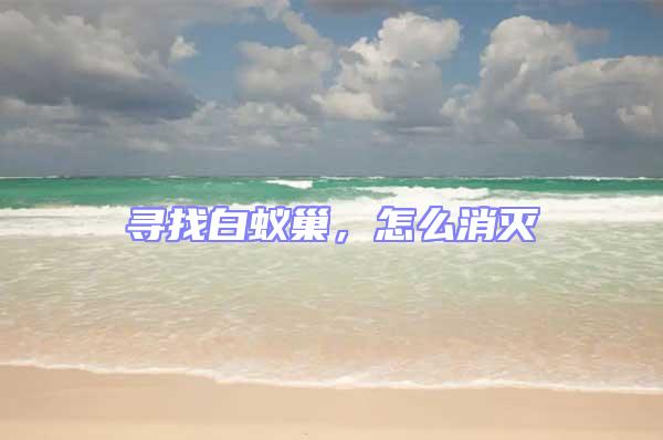 尋找白蟻巢,怎么消滅