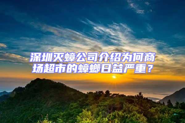 深圳滅蟑公司介紹為何商場超市的蟑螂日益嚴重？