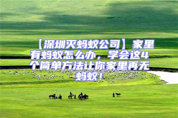 【深圳滅螞蟻公司】家里有螞蟻怎么辦,學(xué)會(huì)這4個(gè)簡單方法讓你家里再無螞蟻!