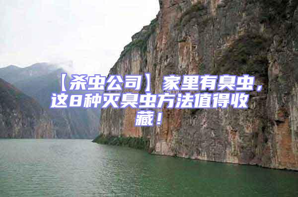 【殺蟲公司】家里有臭蟲，這8種滅臭蟲方法值得收藏！