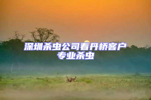 深圳殺蟲公司看丹橋客戶專業(yè)殺蟲