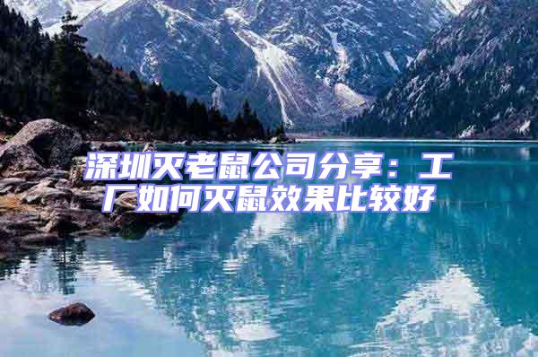 深圳滅老鼠公司分享:工廠如何滅鼠效果比較好
