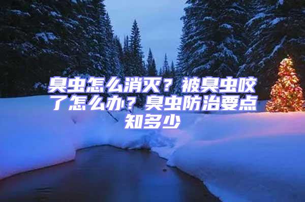 臭蟲怎么消滅?被臭蟲咬了怎么辦?臭蟲防治要點(diǎn)知多少