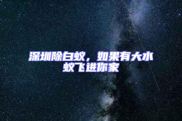 深圳除白蟻,如果有大水蟻飛進你家