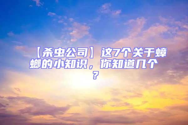 【殺蟲公司】這7個關于蟑螂的小知識，你知道幾個？