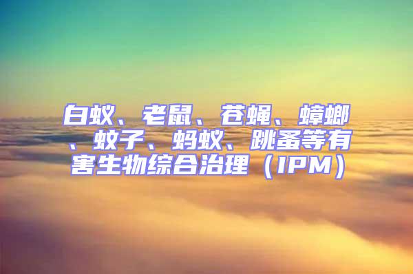 白蟻、老鼠、蒼蠅、蟑螂、蚊子、螞蟻、跳蚤等有害生物綜合治理（IPM）
