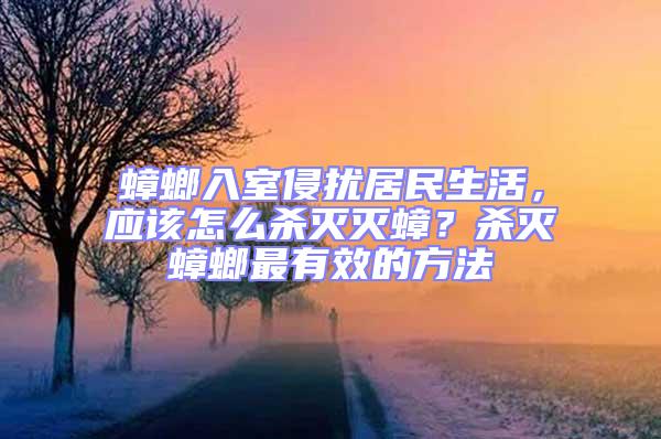蟑螂入室侵擾居民生活,應該怎么殺滅滅蟑?殺滅蟑螂最有效的方法
