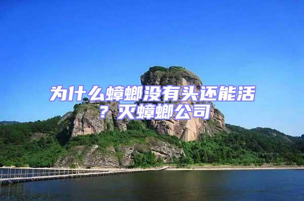 為什么蟑螂沒(méi)有頭還能活?滅蟑螂公司