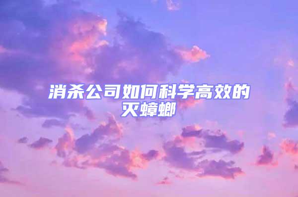消殺公司如何科學(xué)高效的滅蟑螂