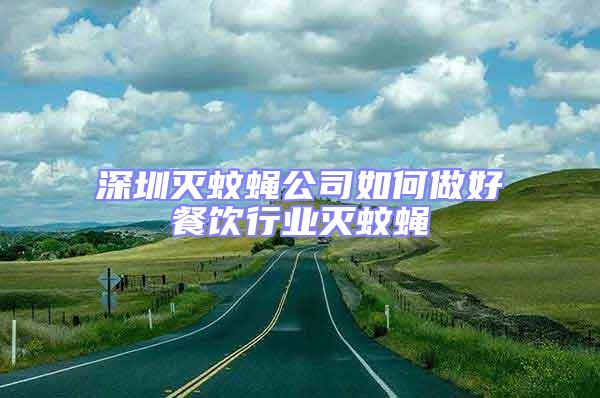 深圳滅蚊蠅公司如何做好餐飲行業滅蚊蠅