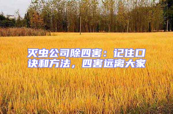 滅蟲公司除四害:記住口訣和方法,四害遠離大家