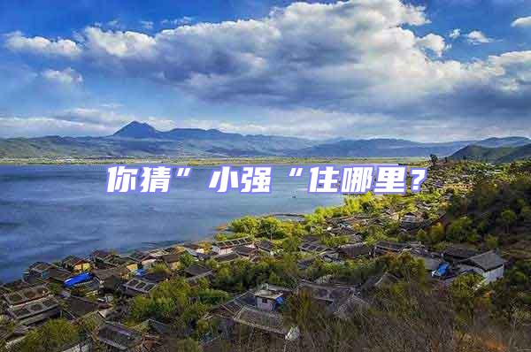 你猜”小強“住哪里?