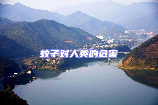 蚊子對人類的危害