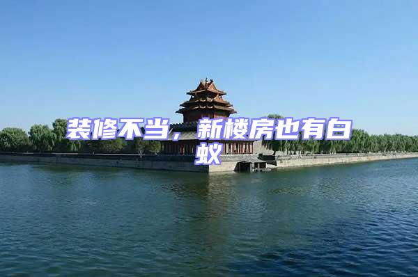 裝修不當(dāng)，新樓房也有白蟻