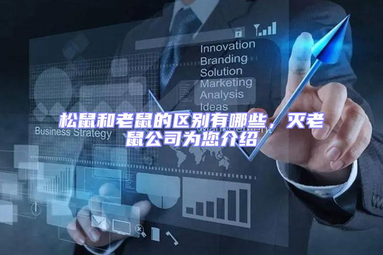 松鼠和老鼠的區(qū)別有哪些,滅老鼠公司為您介紹