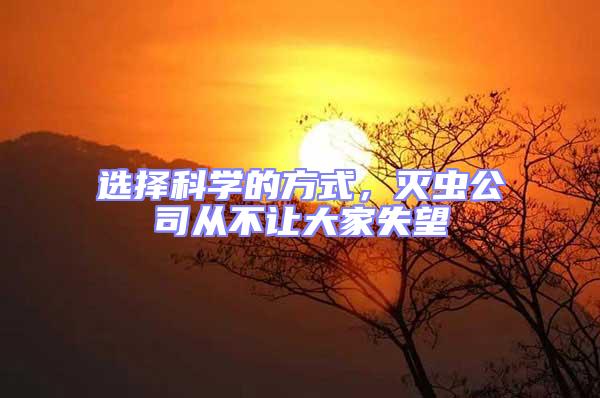 選擇科學的方式,滅蟲公司從不讓大家失望