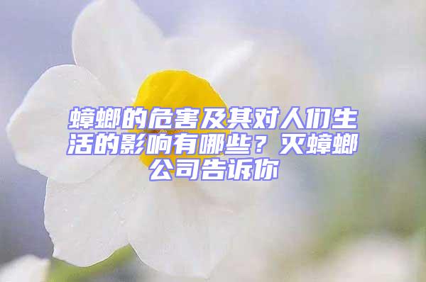 蟑螂的危害及其對人們生活的影響有哪些?滅蟑螂公司告訴你