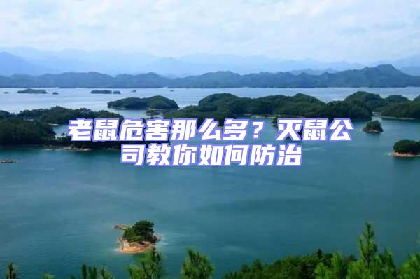 老鼠危害那么多?滅鼠公司教你如何防治