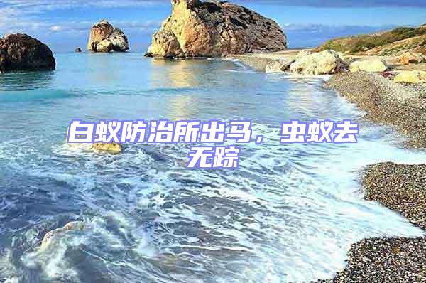 白蟻防治所出馬，蟲蟻去無蹤