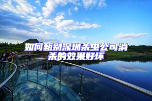 如何甄別深圳殺蟲公司消殺的效果好壞