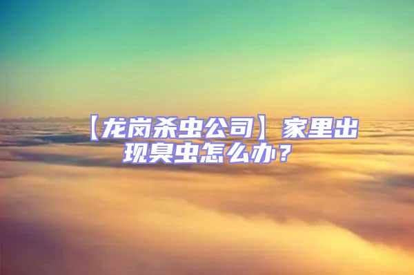 【龍崗殺蟲公司】家里出現(xiàn)臭蟲怎么辦?