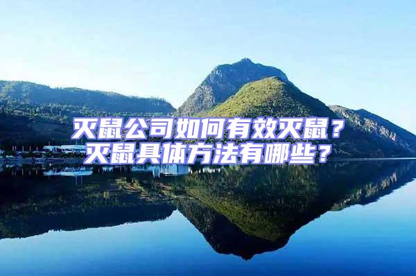 滅鼠公司如何有效滅鼠？滅鼠具體方法有哪些？