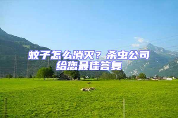 蚊子怎么消滅?殺蟲公司給您最佳答復(fù)