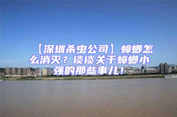 【深圳殺蟲公司】蟑螂怎么消滅?談談關于蟑螂小強的那些事兒!