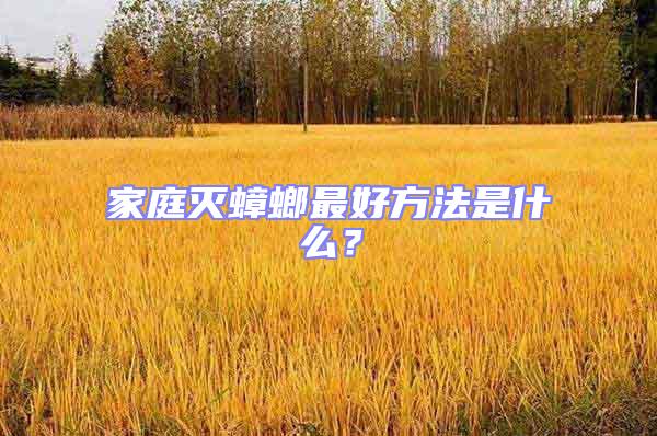 家庭滅蟑螂最好方法是什么?