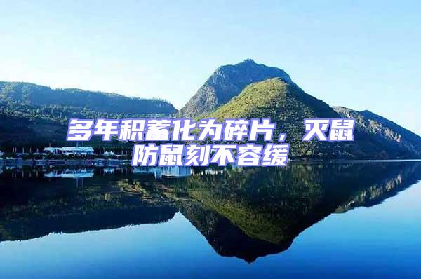 多年積蓄化為碎片，滅鼠防鼠刻不容緩