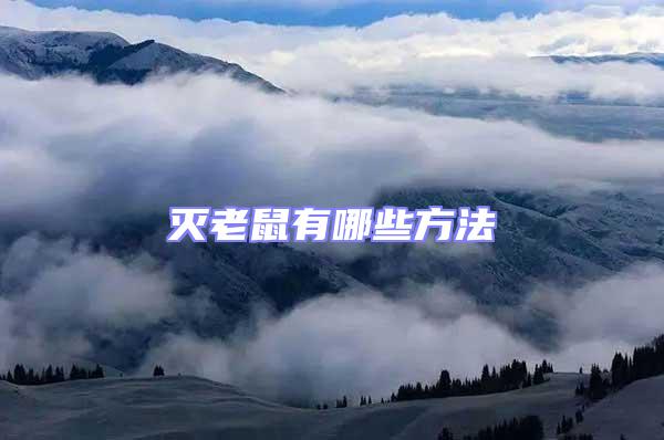 滅老鼠有哪些方法